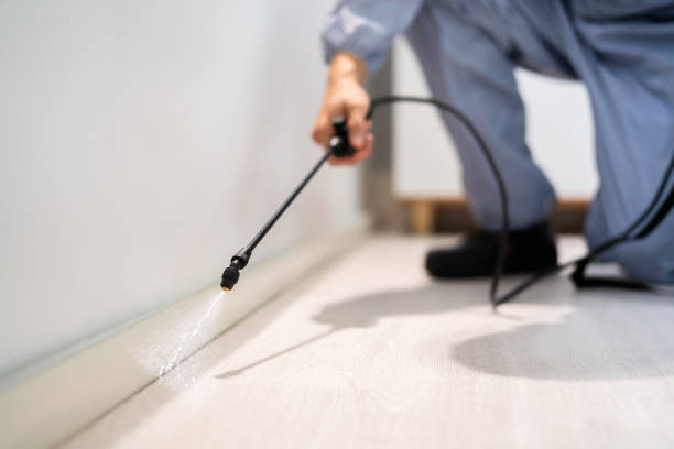 Licensed Termite Control service in Woodstock, IL - Show Me Pest Control